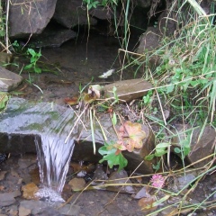 Айшат Сулайманова, 05.05, Санкт-Петербург