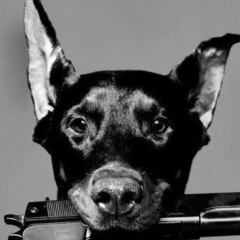 Danilka Kozak, 17.10, Тель-Авив