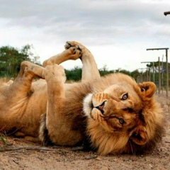 Сергей Ф, 20.03, Североморск