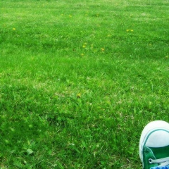 Sergiu Turcanu, 05.06.1996, Кишинев