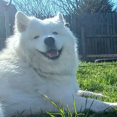 Ольга Косенкова, 02.07, Химки