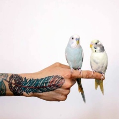 Жадыра Серикова, 01.03.1993, Алматы