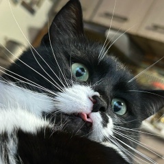 Любовь Ягупова, Кожино (деревня)