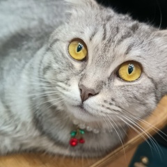 Матильда Ахмеджанова, 11.11.1992, Актау