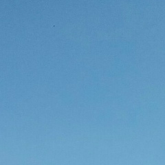 Артём Карпов