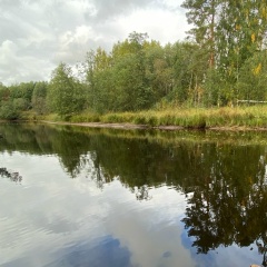 Марина Дмитриевна, Санкт-Петербург
