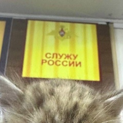 Вася Геранькова, 16.02