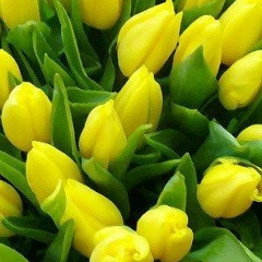 Жанна Мухамедалиева, 21.11, Шымкент