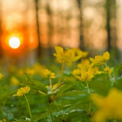 Олюня Пасечник, 11.12, Санкт-Петербург