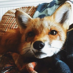 Владимир Бирюков, 22.04