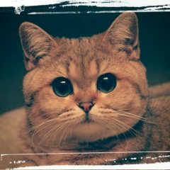 Андрей Цопов, 07.06.2000