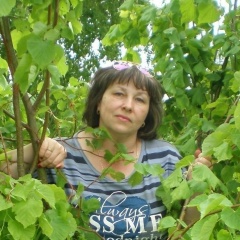 Елена Пешехонова, 28.02.1973, Кострома