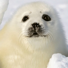 Марина Егорова, 28.04