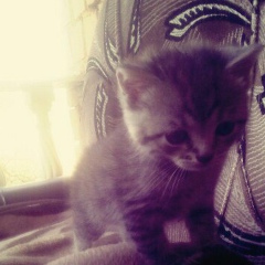 Вася Ігнатюк, 11.06