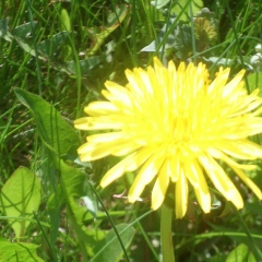 Андрій Коротчук, 23.06.1990, Ровно