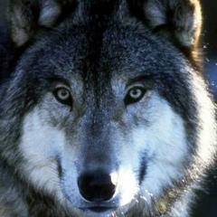 Еркин Матайбаев, 21.02, Алматы