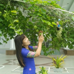 Yati Lwin
