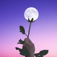 Karla Burhanbaeva, 21.09, Алматы