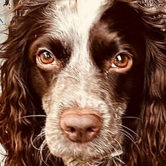 Men Menov, 01.07.1986, Златоуст