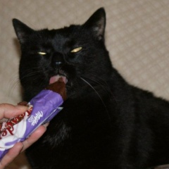 Татьяна Забегайловка, 03.05.1978, Мариуполь