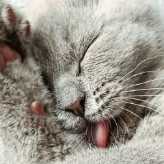 Инна Тернавская, 28.11