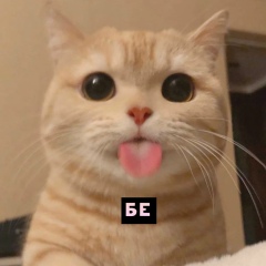 Марина Завьялова, 16.08