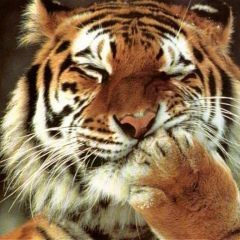 Алексей Викторов, 12.08, Санкт-Петербург