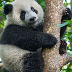 Нурболат Елеусинов, 04.03.1992, Атырау