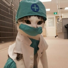 Dilshat Masanchi, 02.11.1991, Алматы