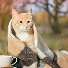 Люда Дубінська, 06.08