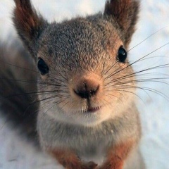 Владимир Таптыгин, 02.09.1987, Москва