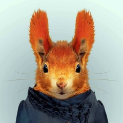 Софья Фукс, Москва