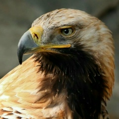 Bauka Ibraev, 23.02, Байконур