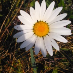 Наташа Филиппова, 05.05.1974, Москва