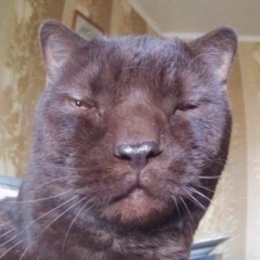 Илья Орсич, 28.07.1992, Минск