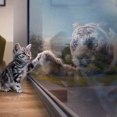 Андрей Спасский, 18.04.1980, Ярославль