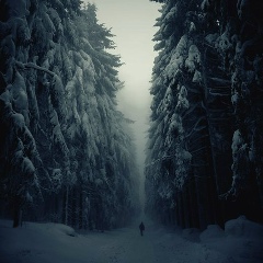 Алексей Дьевич, Ногинск