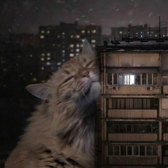 Sanzhar Mardenov, 15.02, Edinburgh