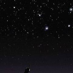 Tolen Sailauov, 19.06, Алматы