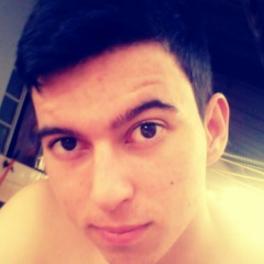 Gustavo Falavina, 07.11.1995