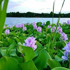 Nara Soe, 13.06.1989