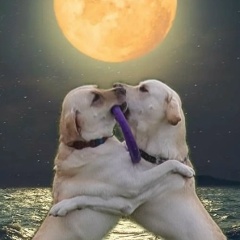 Ольга Федорова, Москва