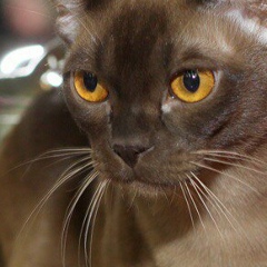 Татьяна Сорокина, 18.06, Чебоксары