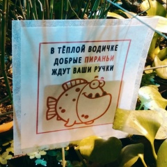 Наталья Хабибулина, 27.09.1986, Москва