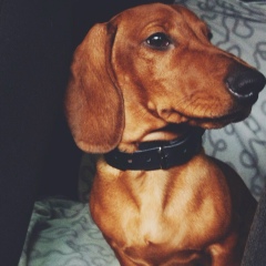 Knurev Alexandr, 24.05, Санкт-Петербург