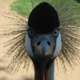 Илья Ульянов