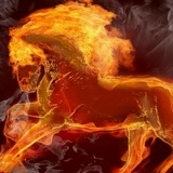 Сергей Музычук, 03.02, Киев