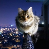 Равиль Енгалычев, 31.03.1980