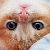 Валентина Конечна, 15.02.1970, Арбузинка