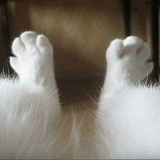 Илья Заходякин, 12.10.1981, Москва